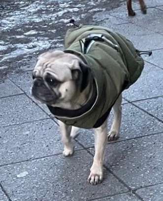 Suchmeldung-Duplo-Profilbild