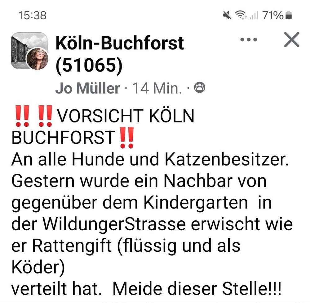 Giftköder-Laut Meldung Nachbar beim Verteilen von Rattengift erwischt -Profilbild