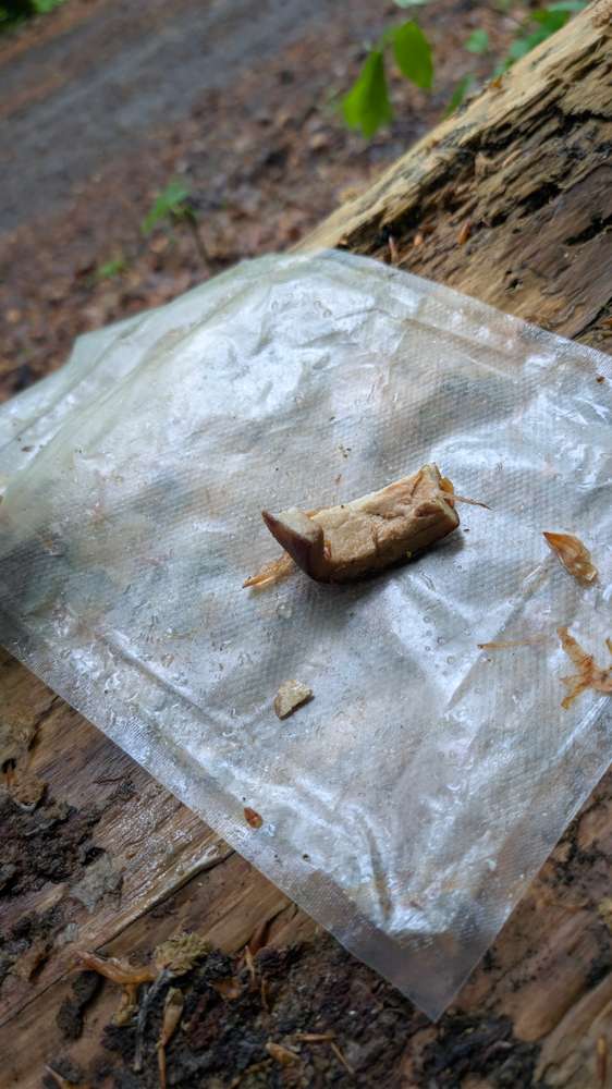 Giftköder-Giftköder in Speck-Profilbild