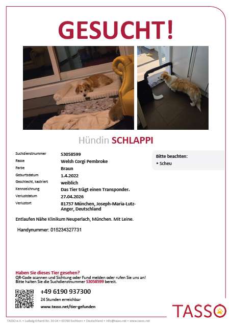 Suchmeldung-Schlappi-Profilbild