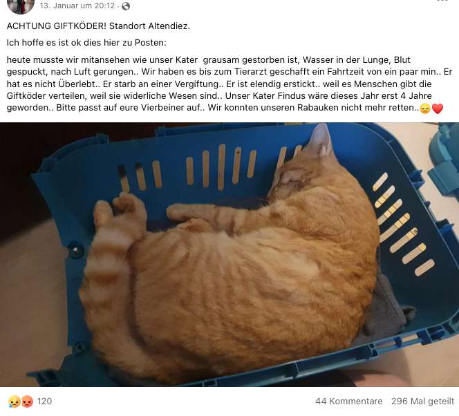 Giftköder-Tote Katze - Giftköder -Profilbild