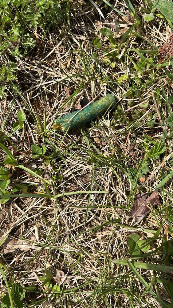 Giftköder-Giftköder -Profilbild