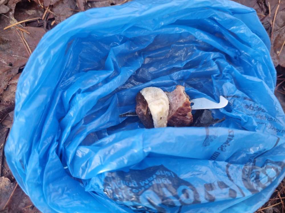 Giftköder-Giftköder gefunden -Profilbild