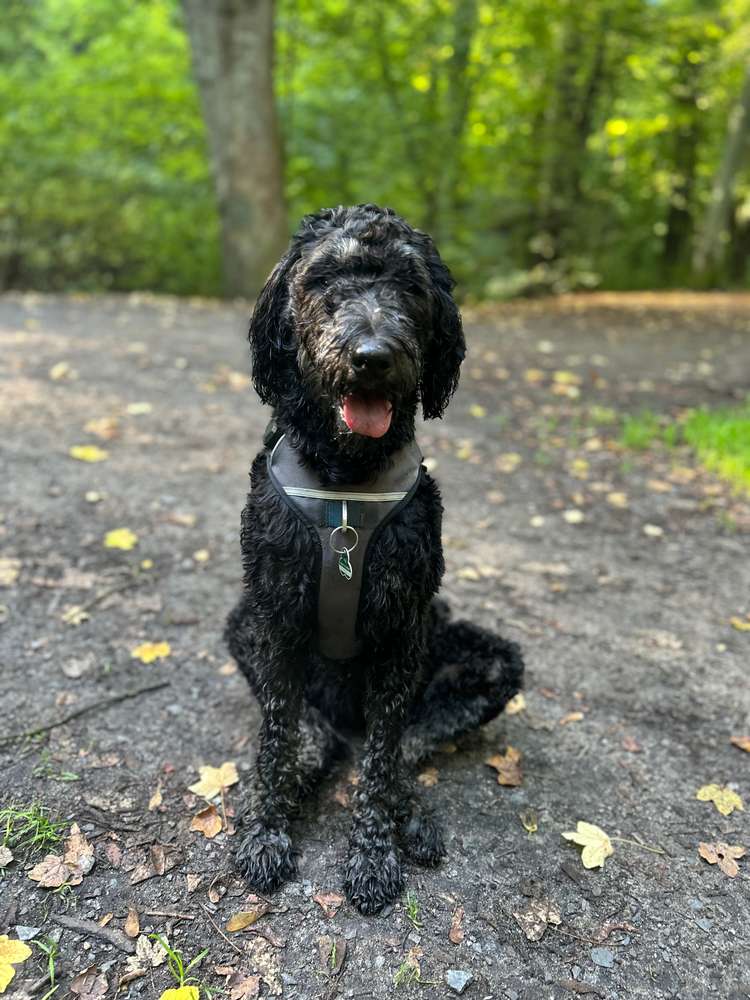 Suchmeldung-Sunny-Profilbild