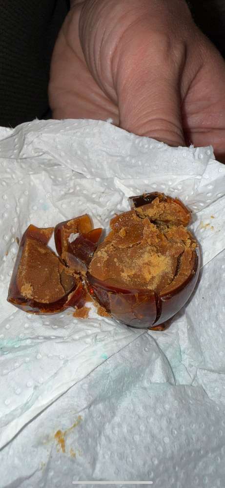 Giftköder-Evtl. Giftköder-Profilbild