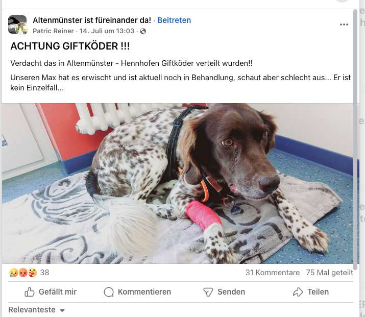 Giftköder-Giftköder-Profilbild