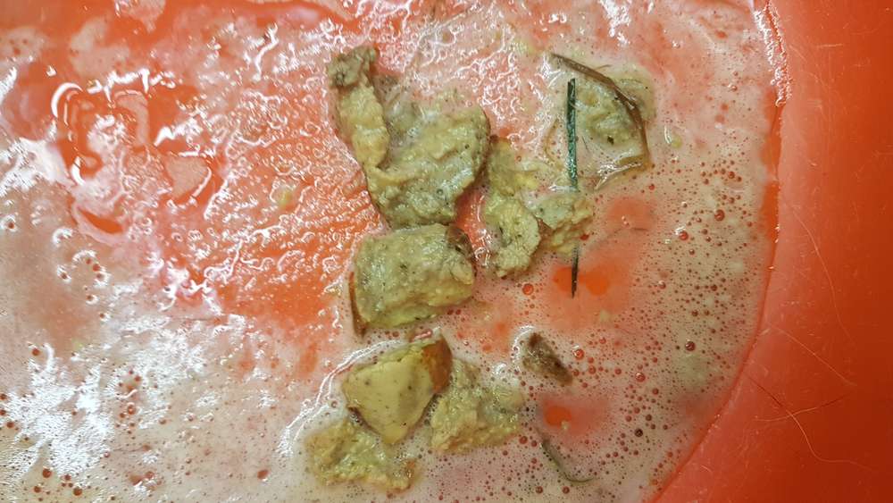 Giftköder-Giftköder -Profilbild