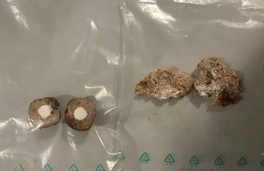 Giftköder-Giftköder-Profilbild