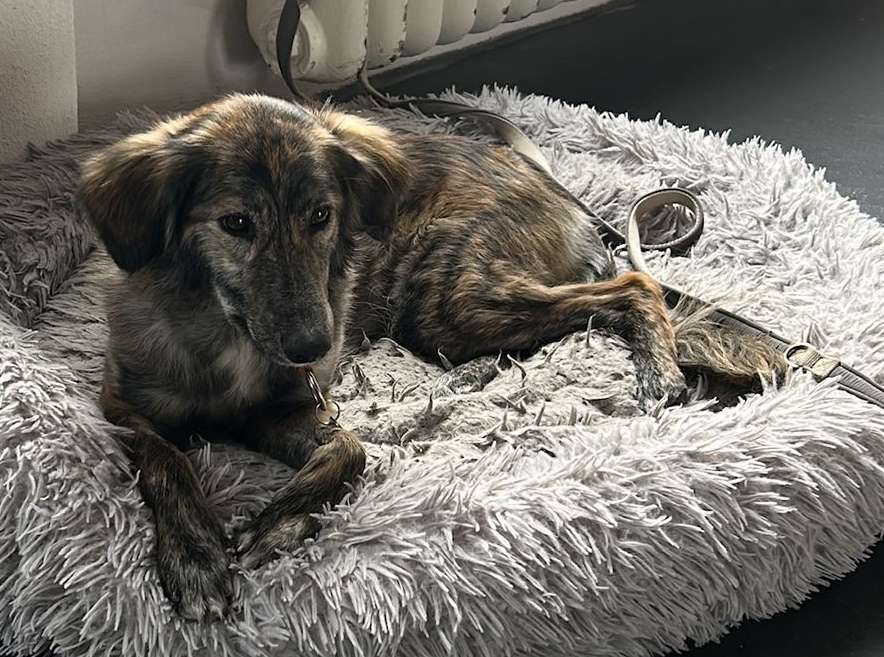 Suchmeldung-Nouha-Profilbild