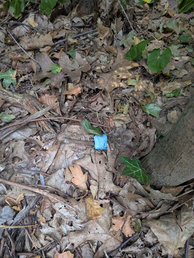 Giftköder-Giftköder-Profilbild