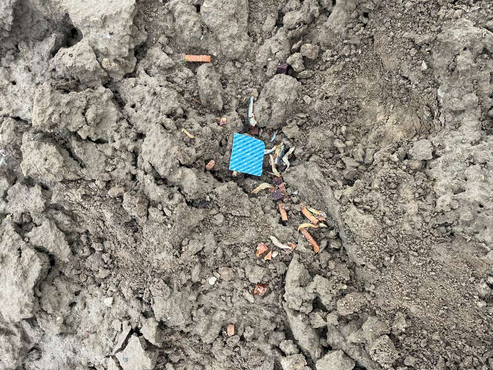 Giftköder-Giftköder-Profilbild