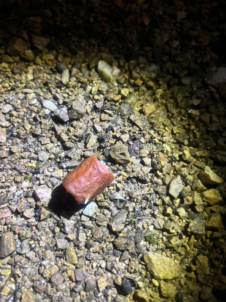 Giftköder-Giftköder-Profilbild