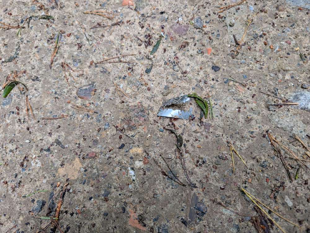 Giftköder-Rasierklingen-Profilbild