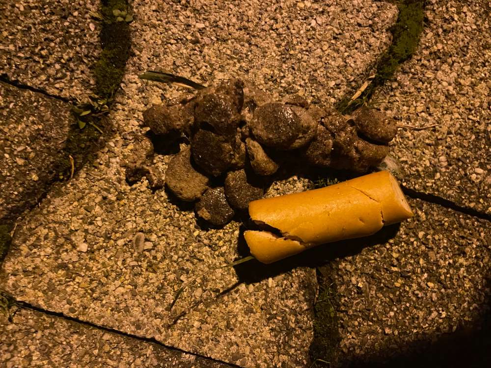 Giftköder-Vermutlicher Giftköder (Hundefutter und Wienerle)-Profilbild