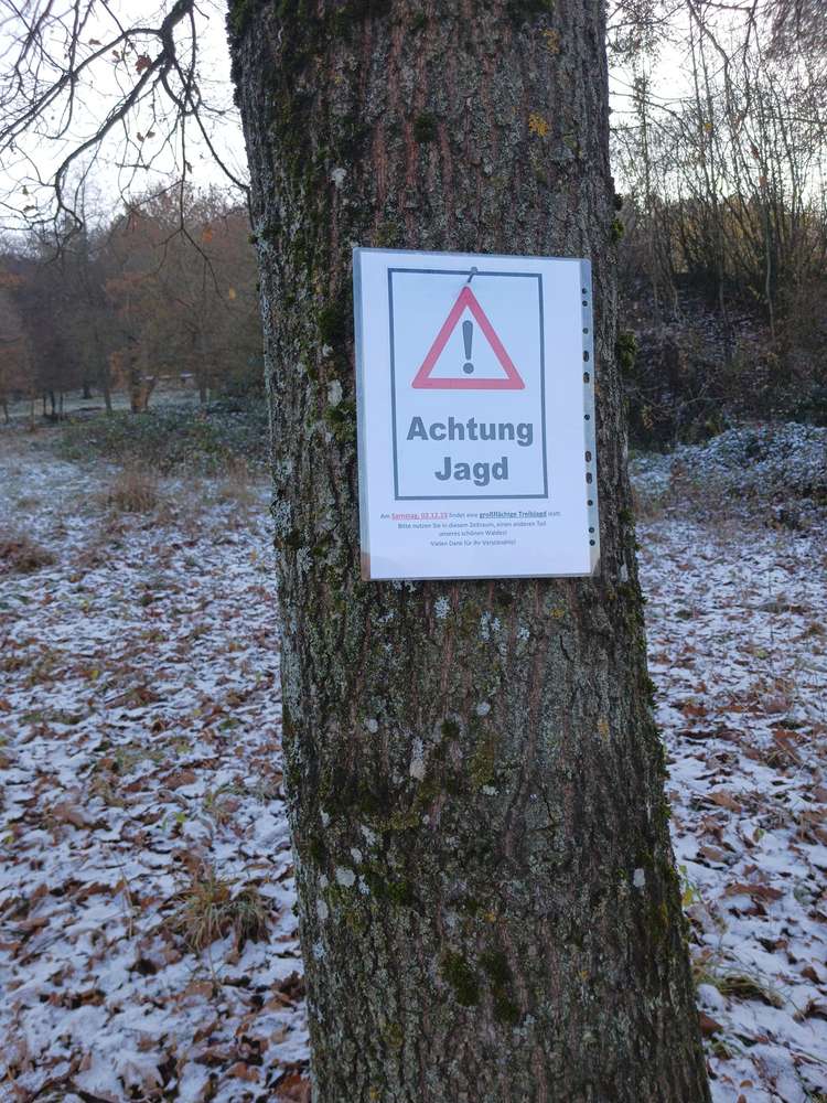 Giftköder-Treibjagd-Profilbild