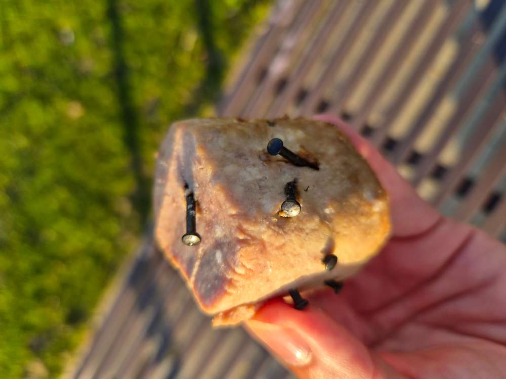 Giftköder-Giftköder ( Nägel)-Profilbild