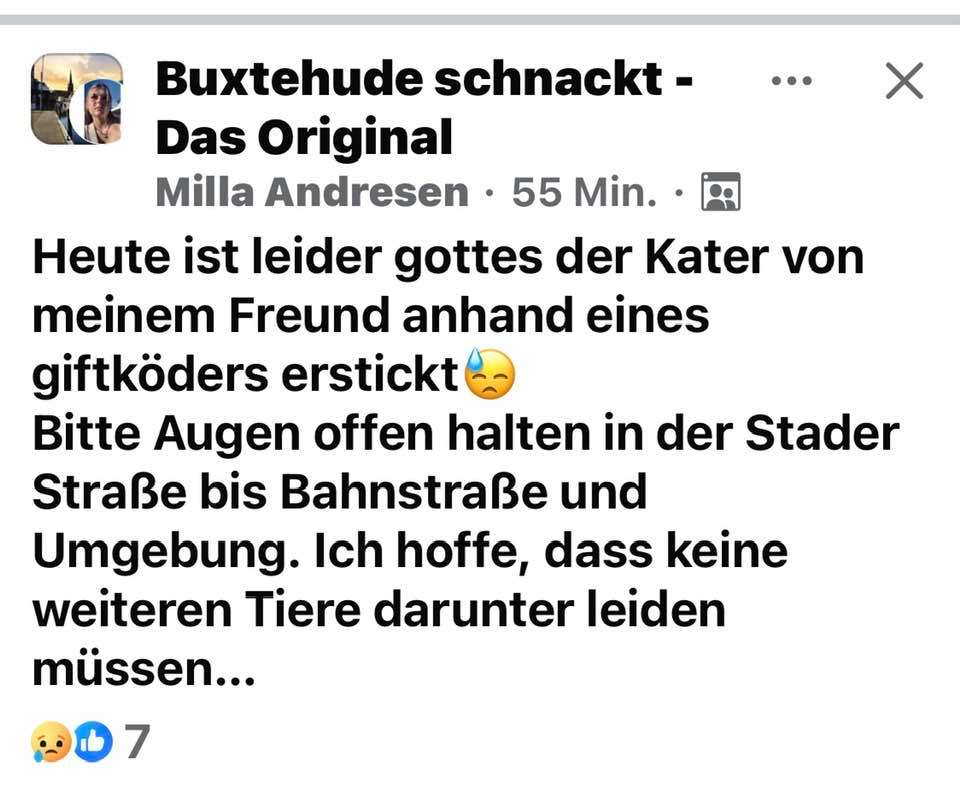 Giftköder-Giftköder-Profilbild