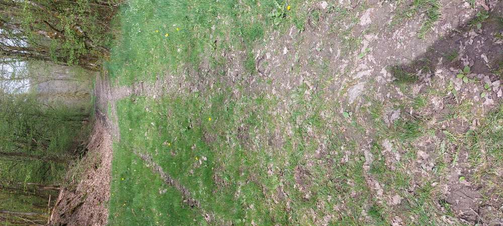 Giftköder-Verdächtige Kaffeestückchen und belegte Brötchen-Profilbild