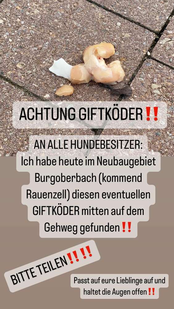 Giftköder-GIFTKÖDER-Profilbild