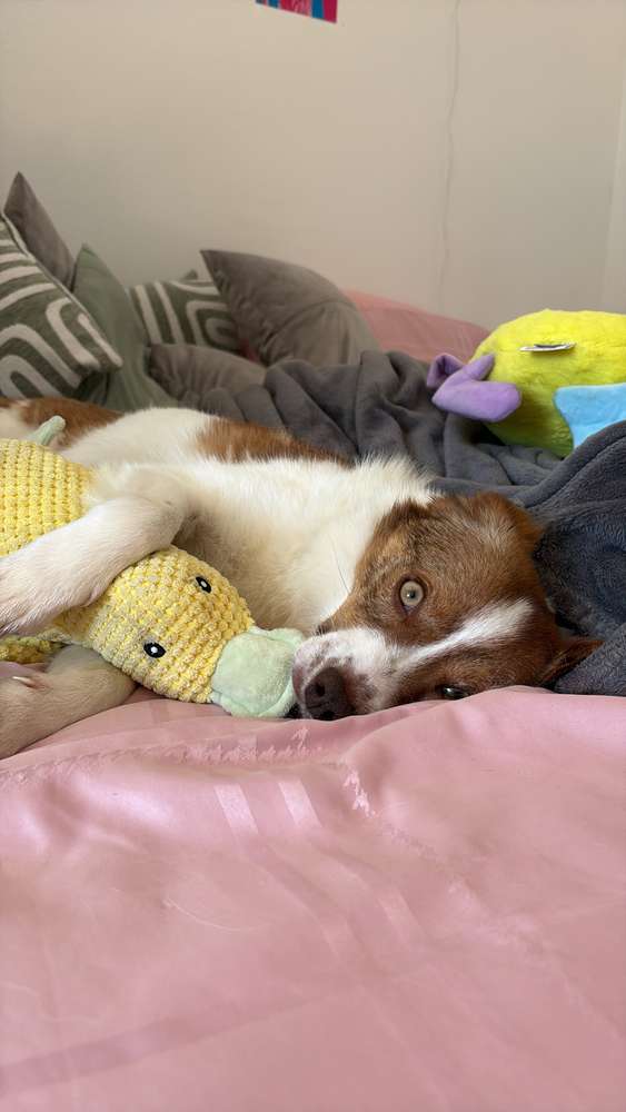 Suchmeldung-Winnie-Profilbild