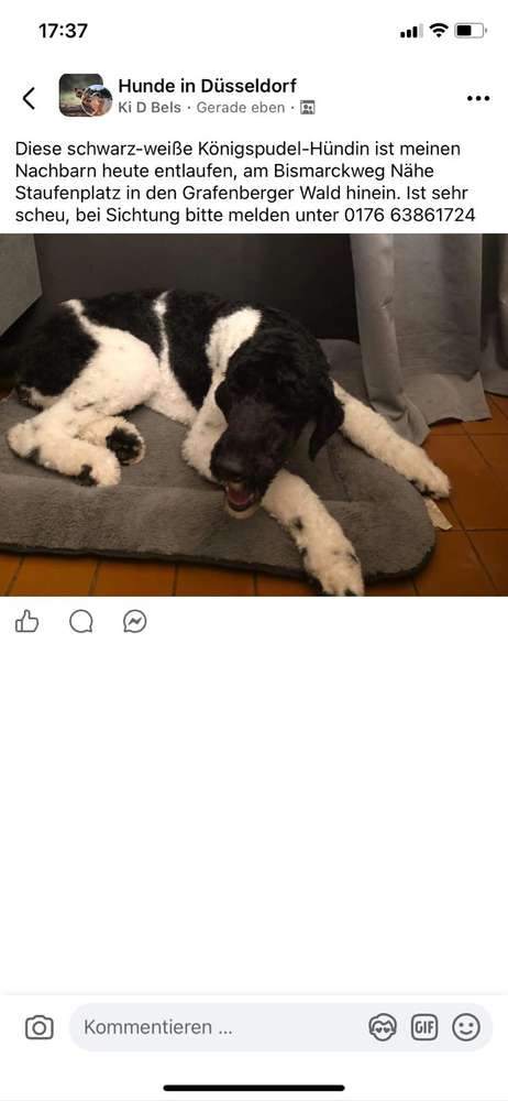 Suchmeldung-Püppi-Profilbild