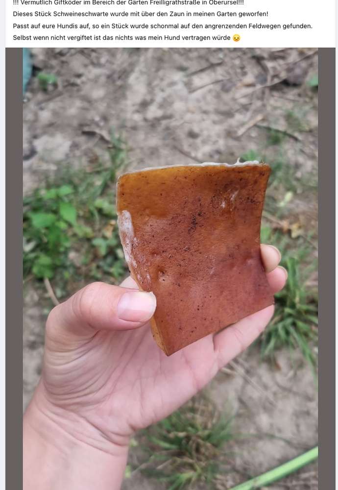 Giftköder-Giftköder-Profilbild