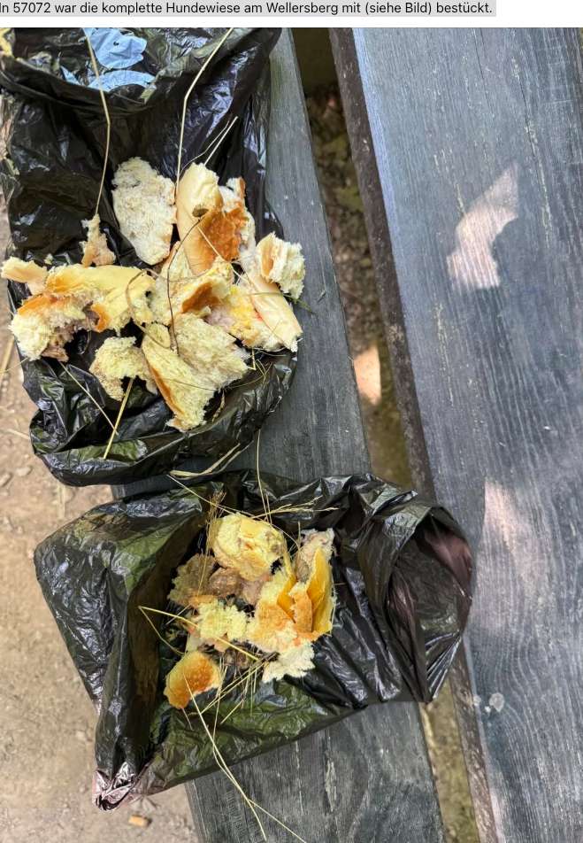 Giftköder-Mgl Giftköder-Profilbild