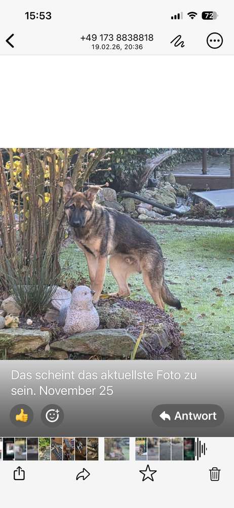 Suchmeldung-Kalle-Profilbild