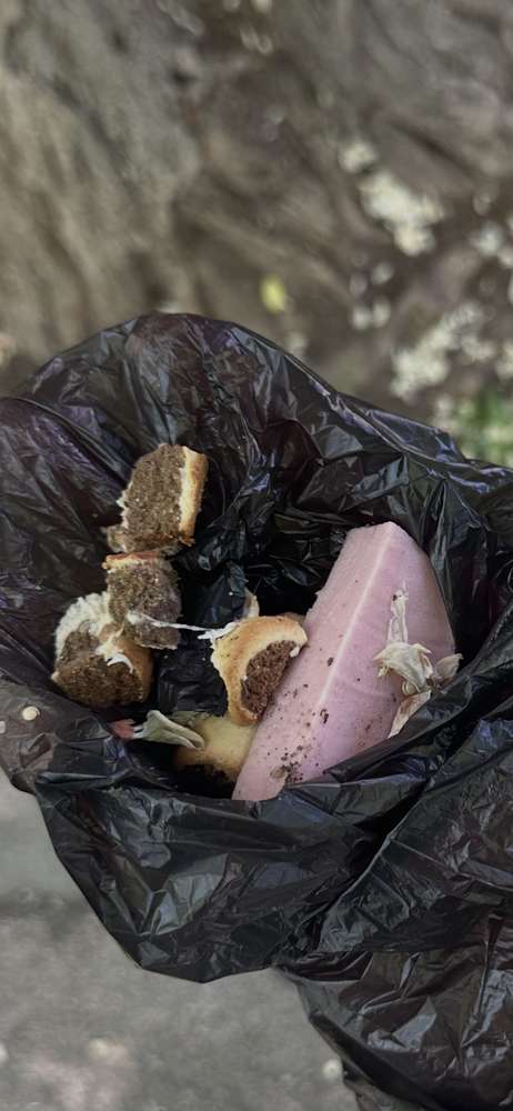 Giftköder-Möglicher Giftköder-Profilbild