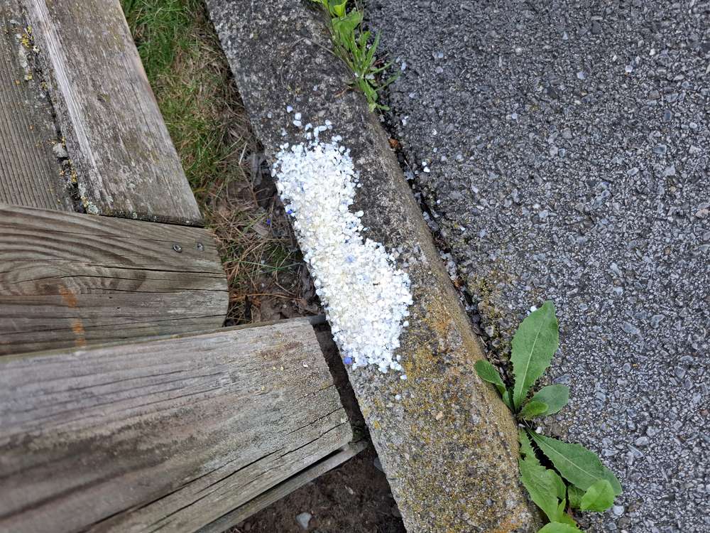 Giftköder-Giftiges Korn-Profilbild