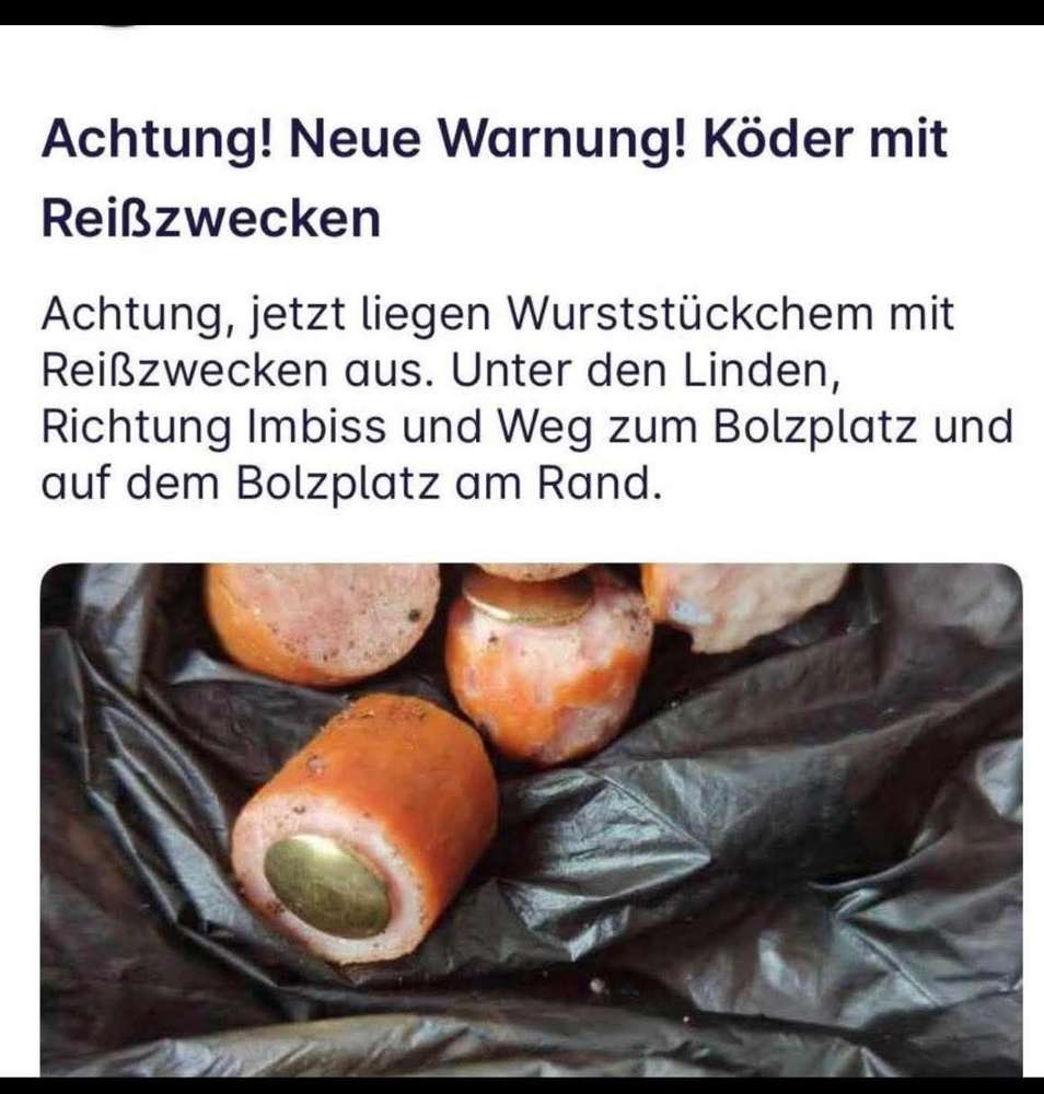 Giftköder-Giftköder-Profilbild