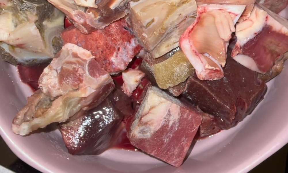 Giftköder-Fleischstücke mit Nägeln und eingelegt in ggf Gift-Profilbild