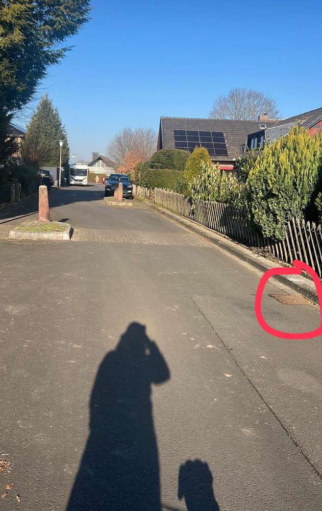 Giftköder-Giftköder auf Gullideckel-Profilbild