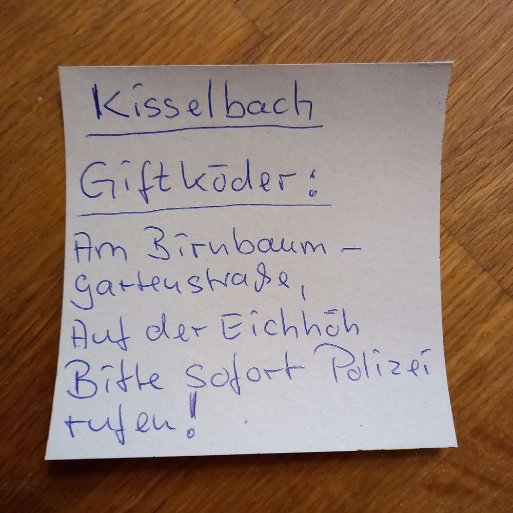 Giftköder-2 tote Katzen-Profilbild