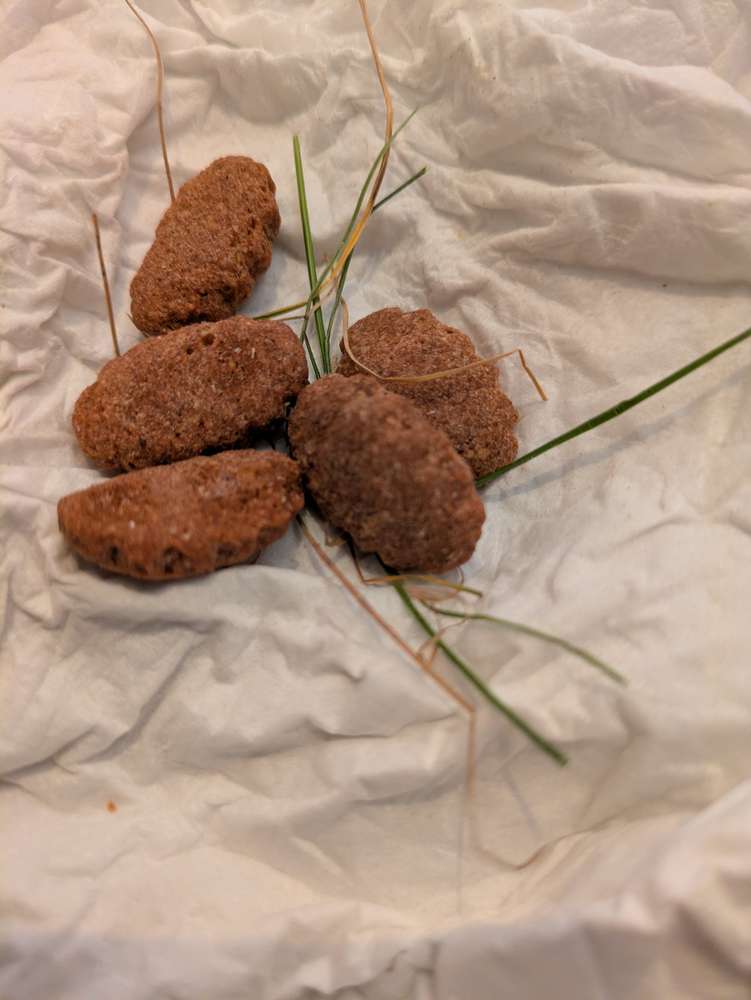 Giftköder-Potentielle Giftköder -Profilbild