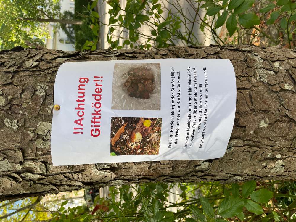 Giftköder-Giftköder Hackbällchen-Profilbild