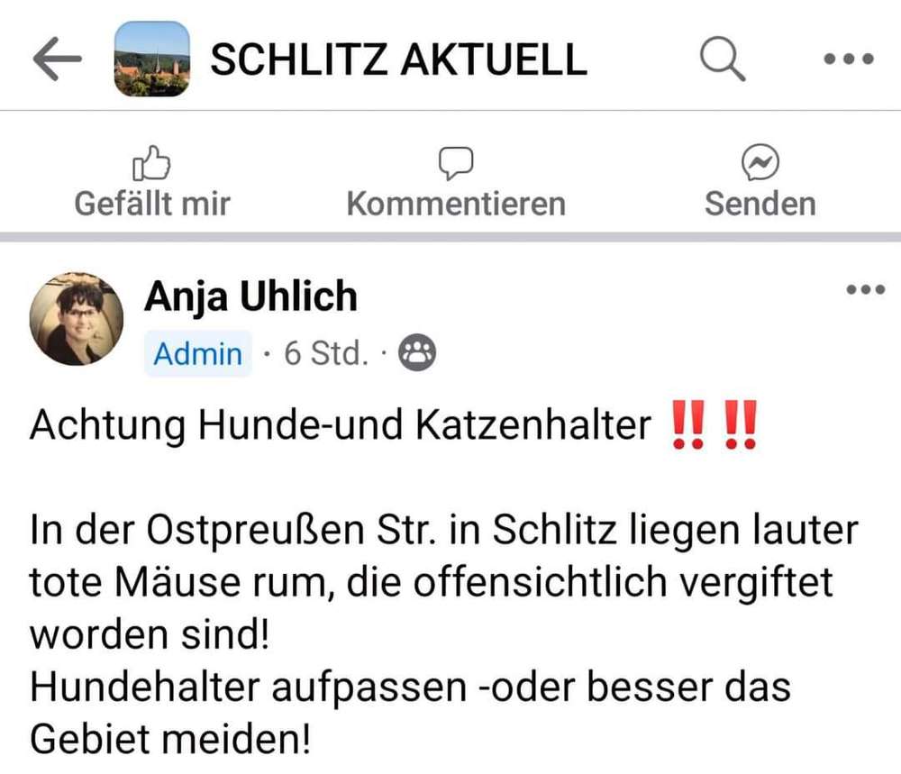 Giftköder-Giftköder-Profilbild