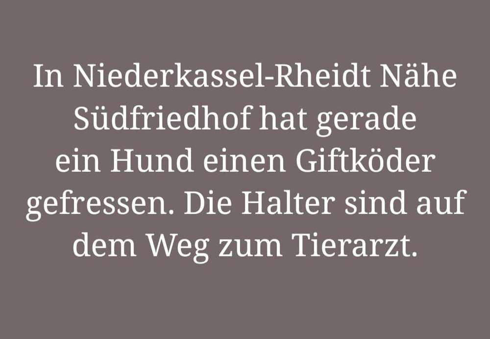 Giftköder-Giftköder-Profilbild