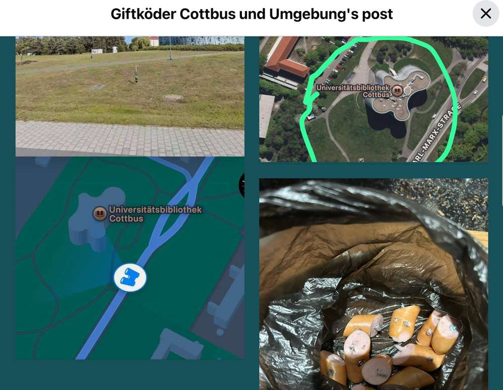 Giftköder-Giftköder-Profilbild