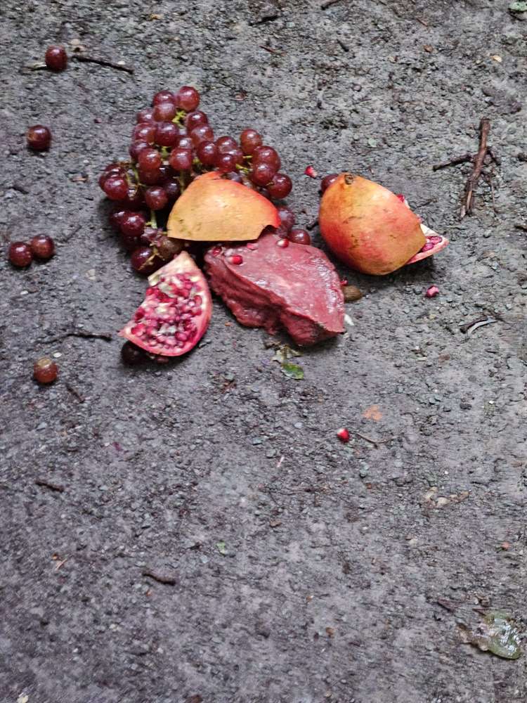 Giftköder-Gifköder Wald Vahlenhorst-Profilbild