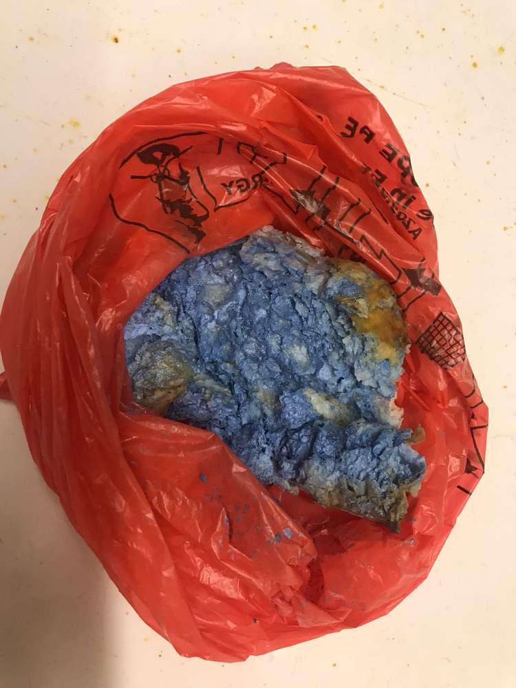 Giftköder-Giftköder-Profilbild