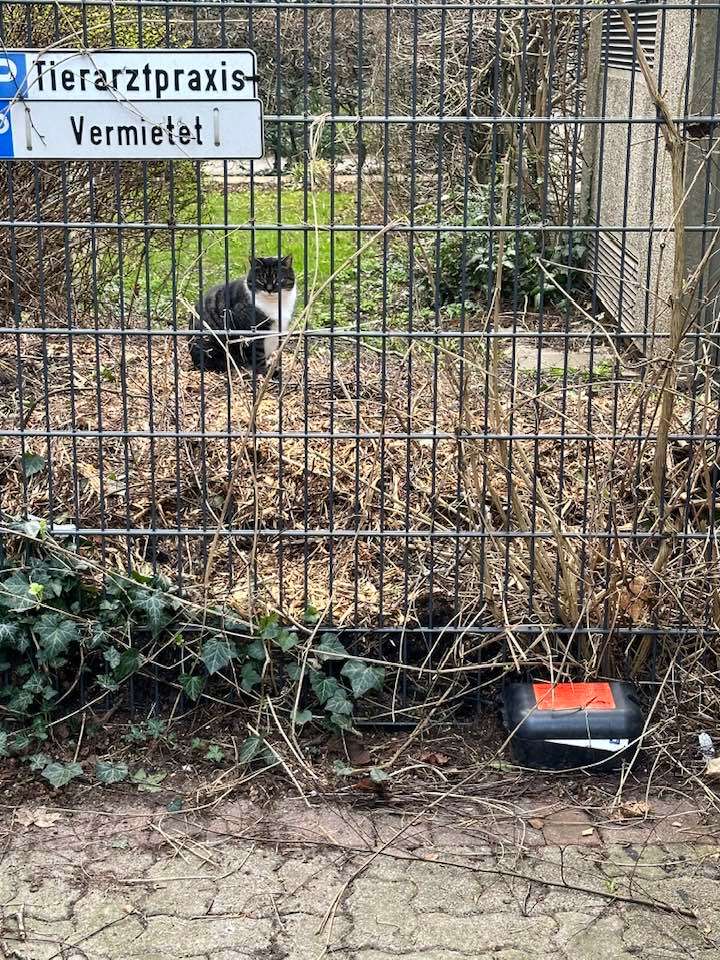 Giftköder-Rattengift-Profilbild