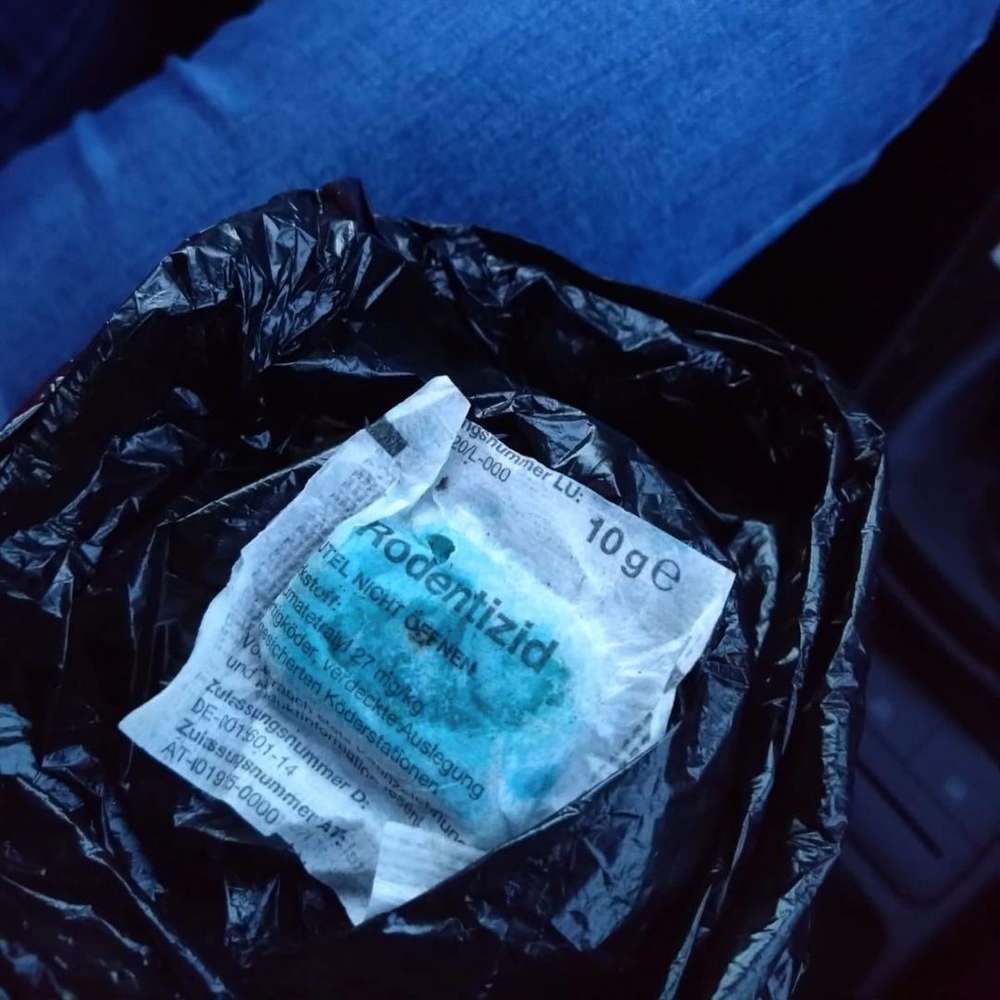 Giftköder-Giftköder-Profilbild