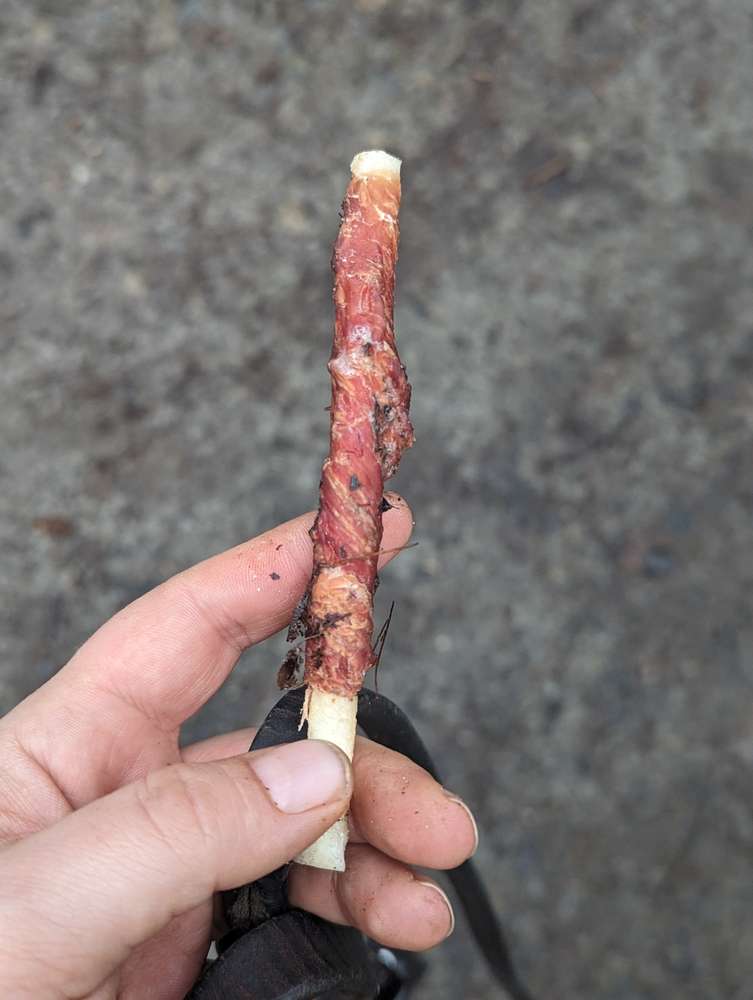 Giftköder-Evtl Giftköder -Profilbild