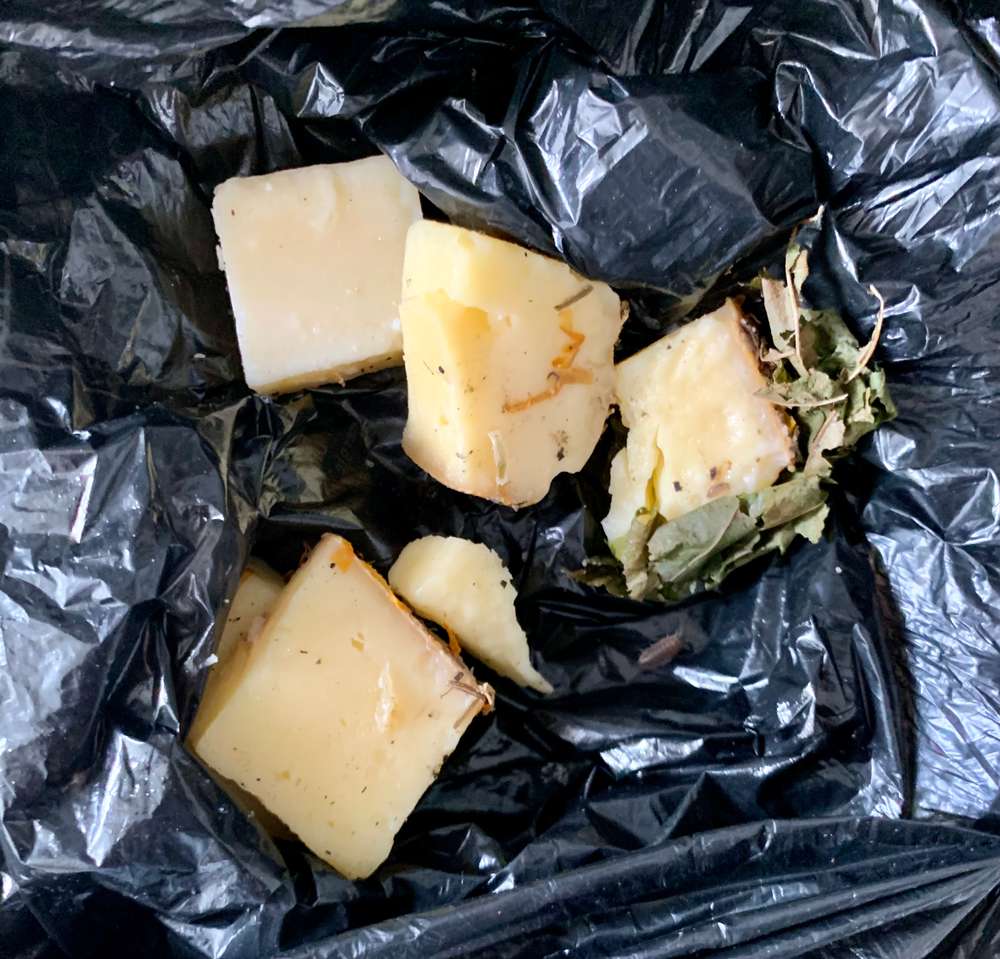 Giftköder-Große Käsewürfel ausgelegt-Profilbild