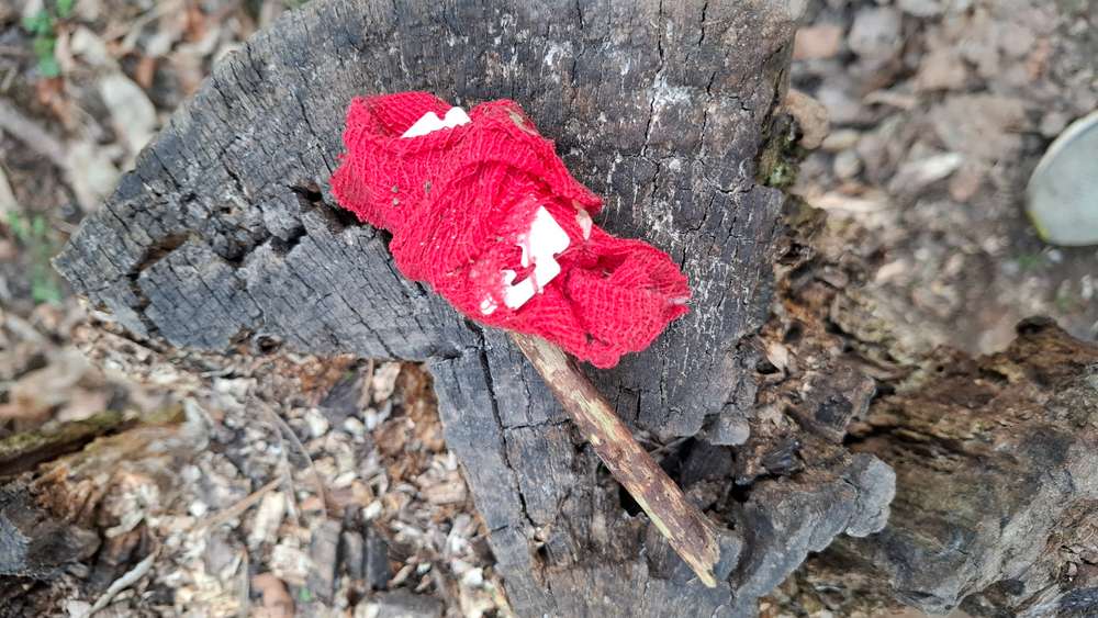 Giftköder-Köder mit Rasierklinge -Profilbild