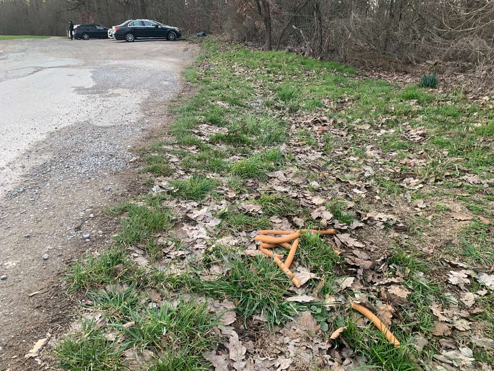 Giftköder-Ausgelegte Saitenwürste-Profilbild