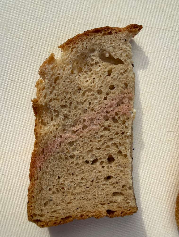 Giftköder-Giftköder-Profilbild