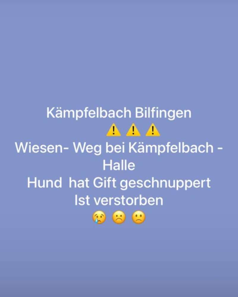 Giftköder-Giftköder-Profilbild