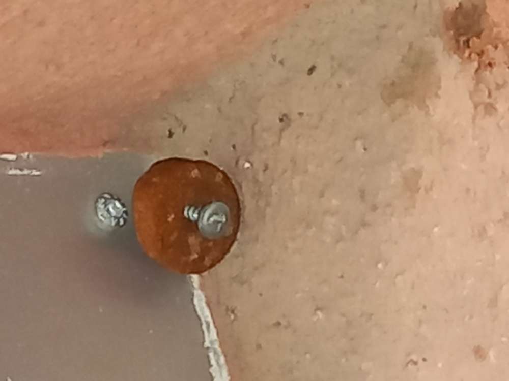 Giftköder-Hundeköder-Profilbild